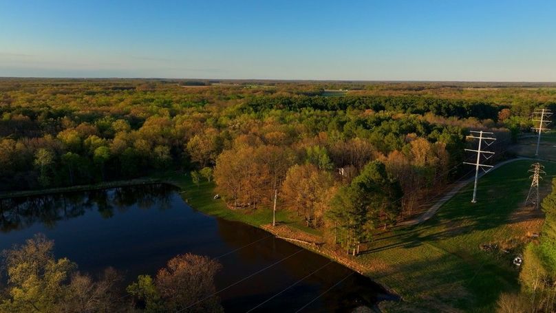 WILLIAMSON, IL 65.00_16_47_14.Still057