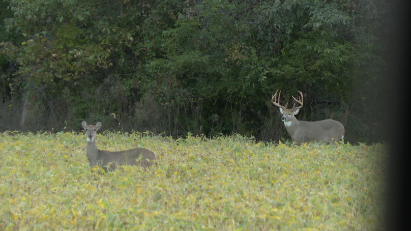 Copy of joe photos.3