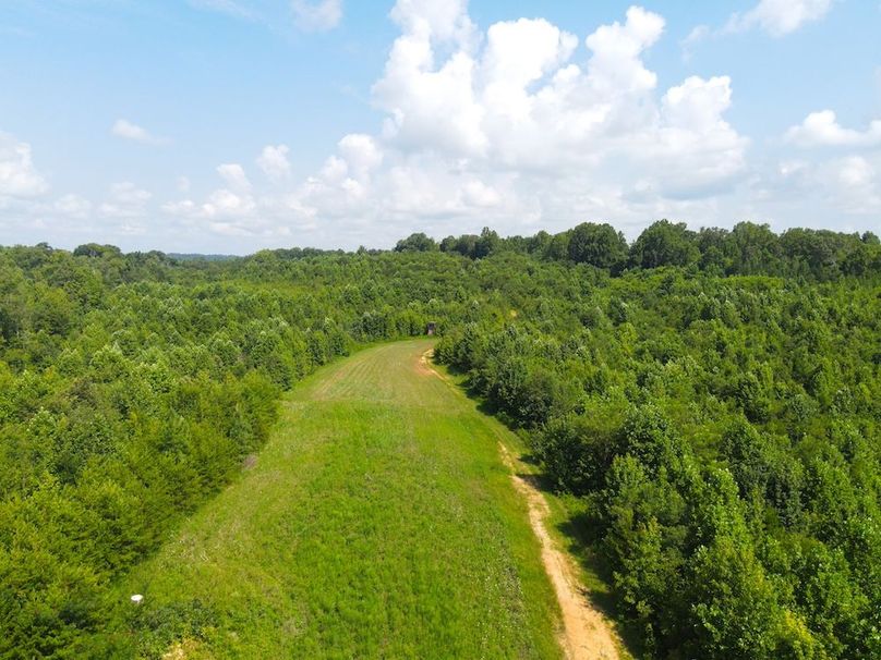 dji_fly_20250729_105224_801_1753800890764_photo