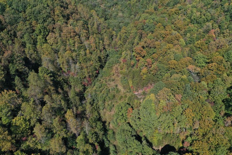 009 the old field area where the pond use to exist in the middle of the property