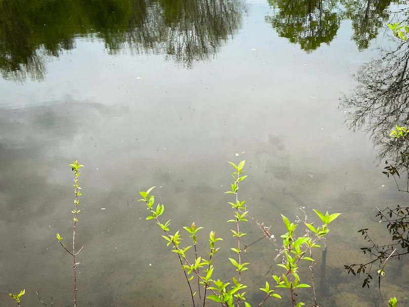 Tioga_78_Biada_Photos_71