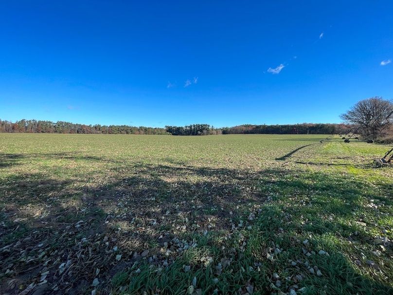 Portage 150.81 JMJK Prop-34