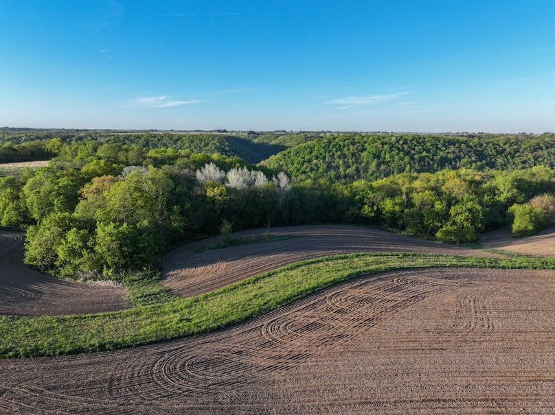 Houston 40ac Mueller-64