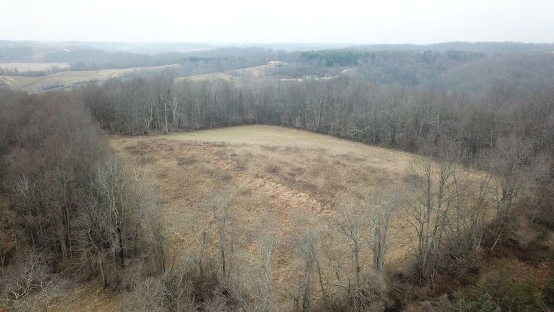 org_fb484a4dfdcd6951_1767807732000