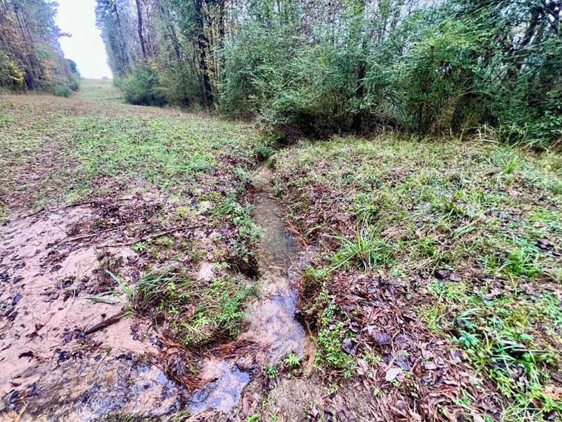 384BAF35-CEB8-4E6B-AAA1-BCC597CB2348_1_201_a