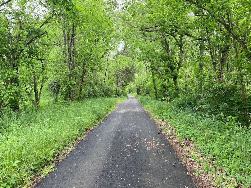 004 Jess Ray Road along the south area of the property copy