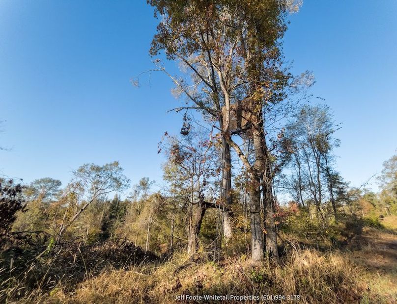 Claiborne Co-151-Geronimo-32