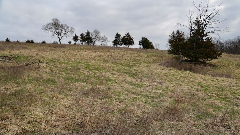 ECB01F92-6C3C-4260-8D80-CC10C8A591E5_1_201_a