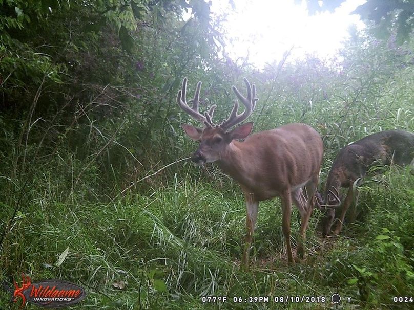 04 starting to throw some junk copy