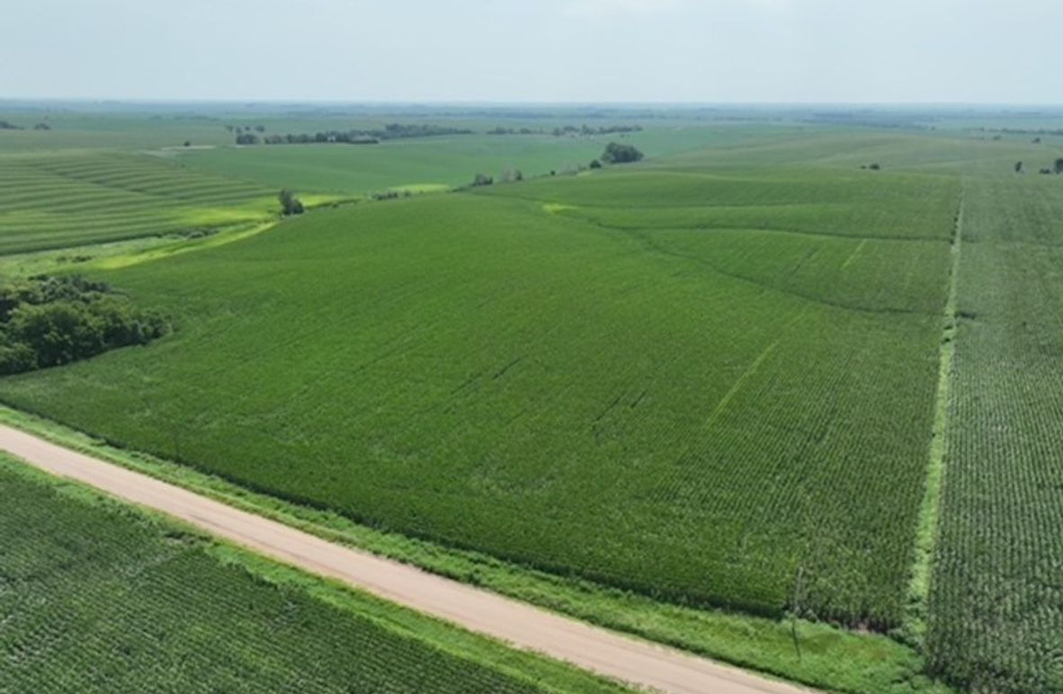 dji_fly_20250805_125256_378_1755697050220_photo