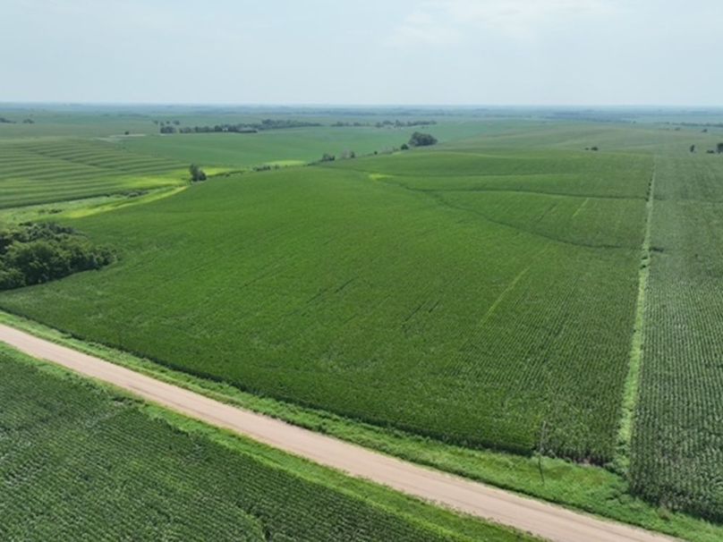 dji_fly_20250805_125256_378_1755697050220_photo