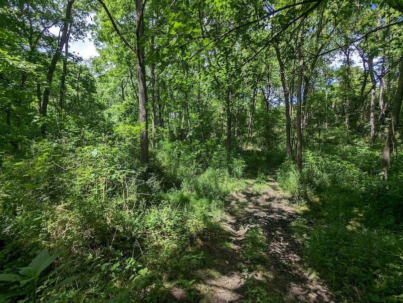 PXL_20240607_184214001