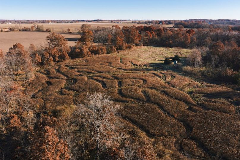 DJI_20251116083122_0108_D