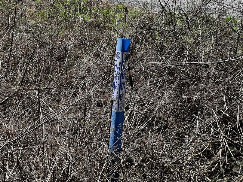 (7)Water at the road