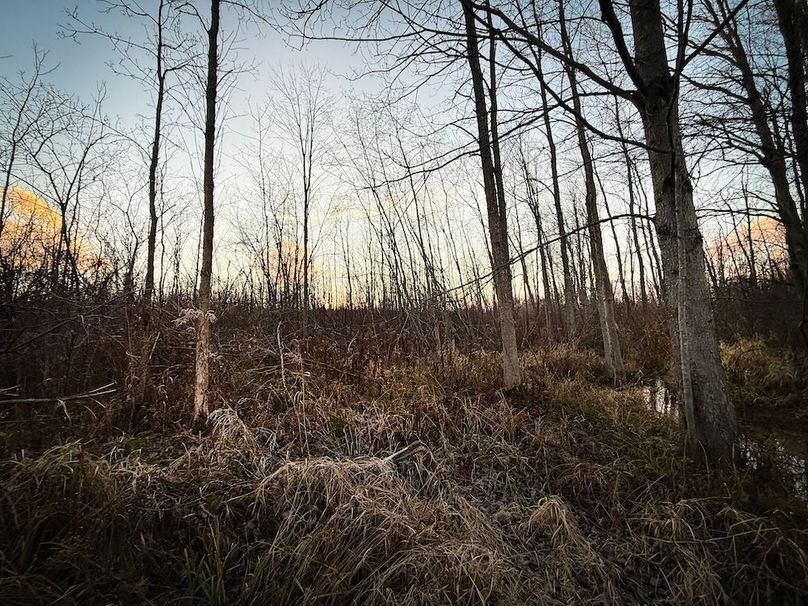 Wayne_29.09_BD_LandNorth_Parcel_30