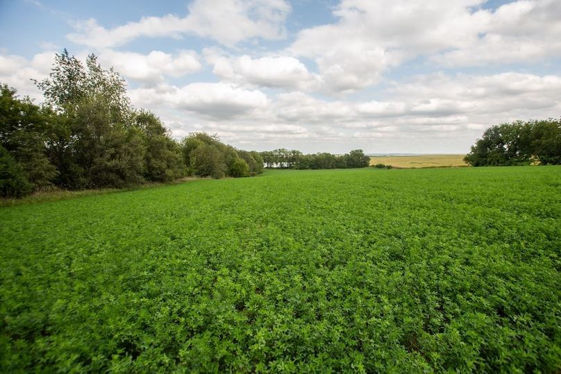 FREMONT CO IA 10.25_17