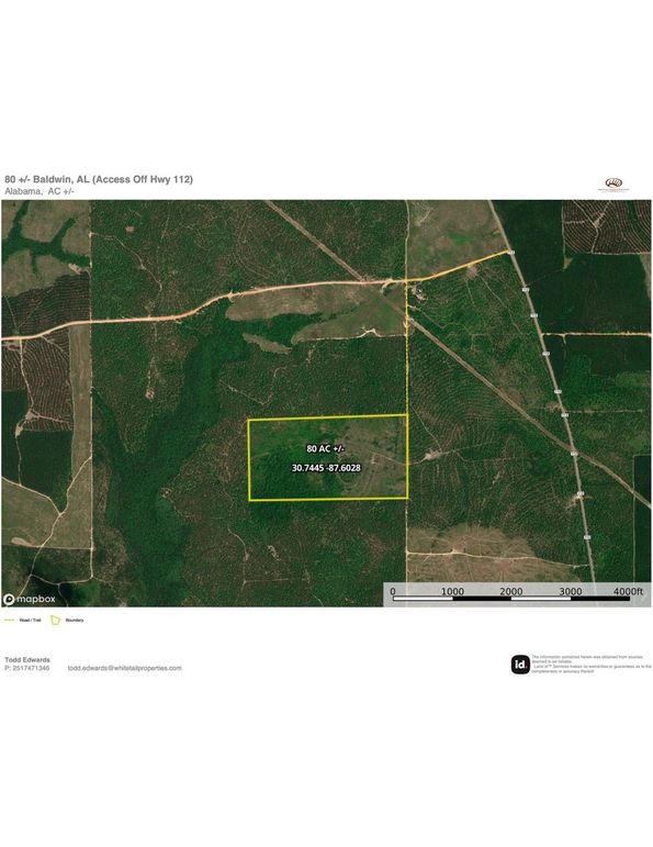 Aerial #2 Approx. 80 Acres Baldwin, AL