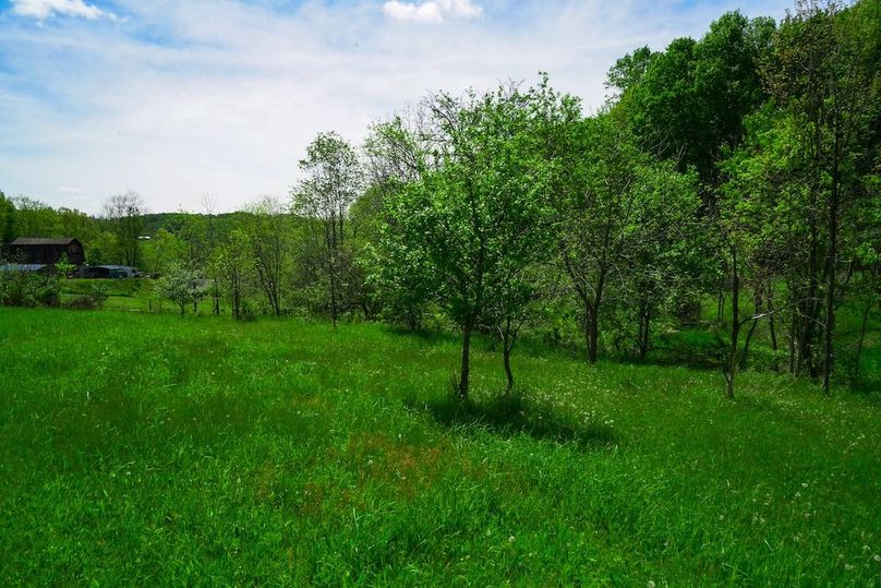 DSC00160
