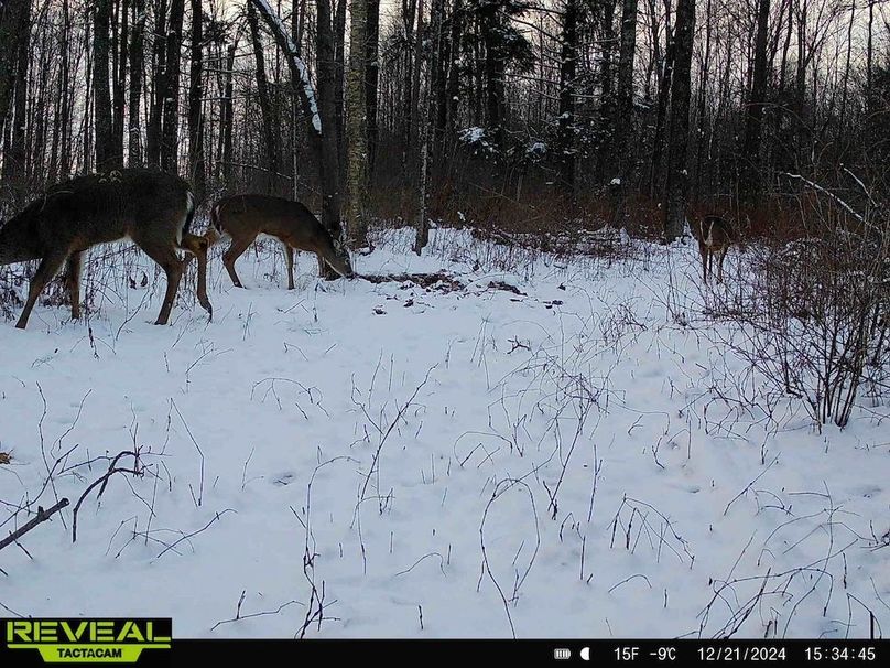 865814048154676-100-2-12212024153444-HD-W1001120