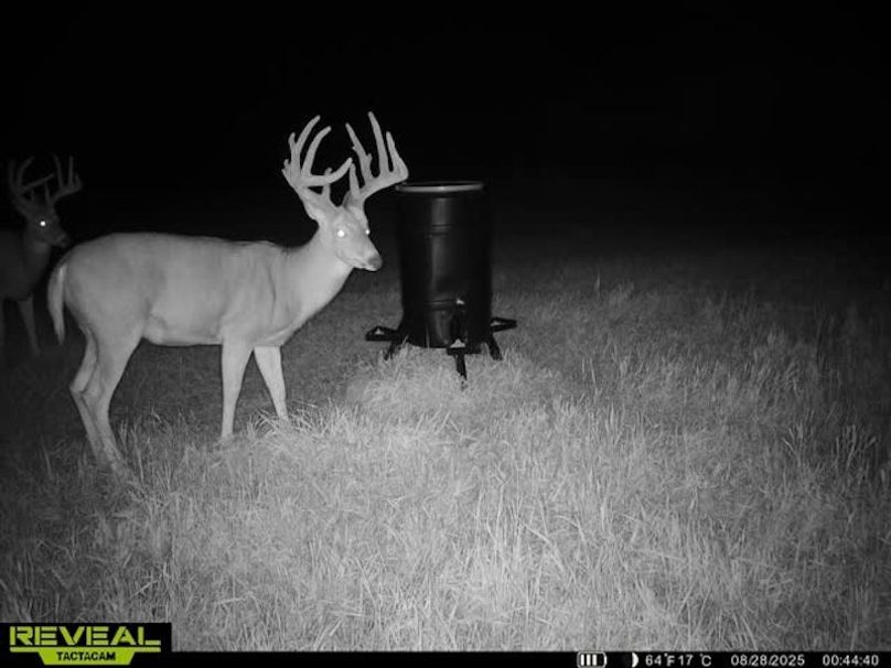 865509050128614-50-3-08282025004450-W1020716