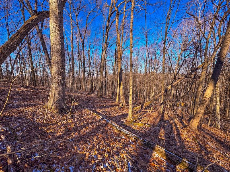 Pleasants, WV 81 AC Barron-31