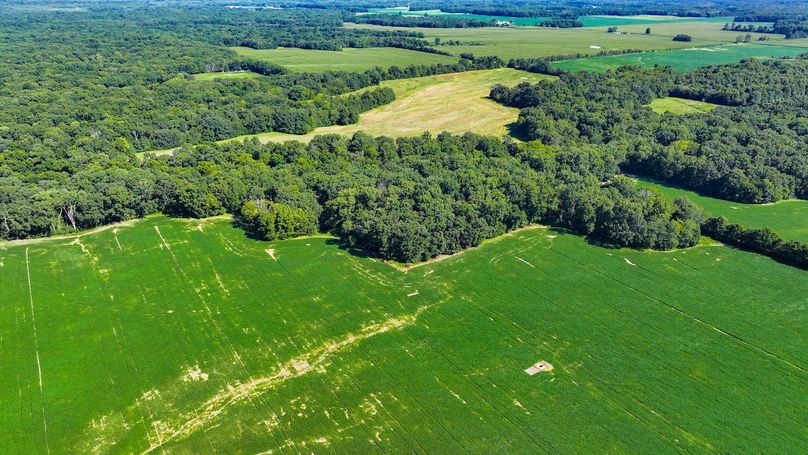 DJI_20240821153732_0078_D