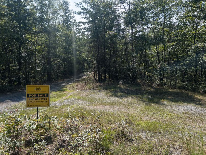 04_13.39_Alleghany_VA