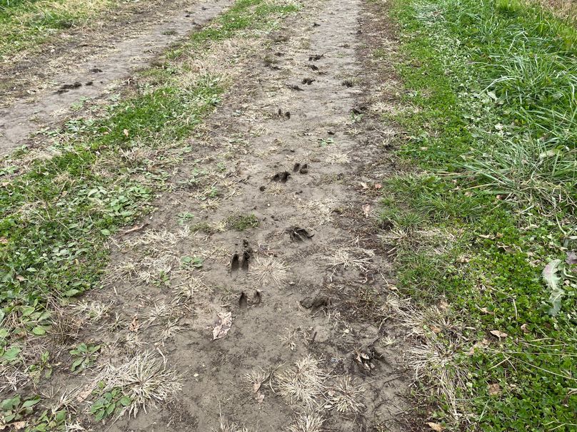 pics from late 2021 and early 2022. New plots being planted in Aug 2023 for new pics (84)