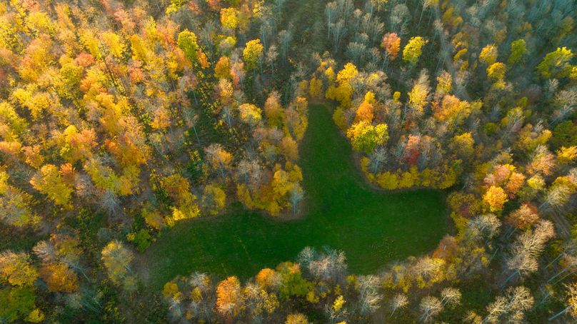 Elk PA 7000 Feature_Pro Photo-160