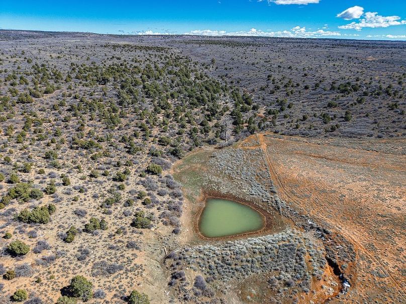 DJI_20260303123340_0070_D