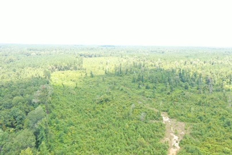 DJI_0584
