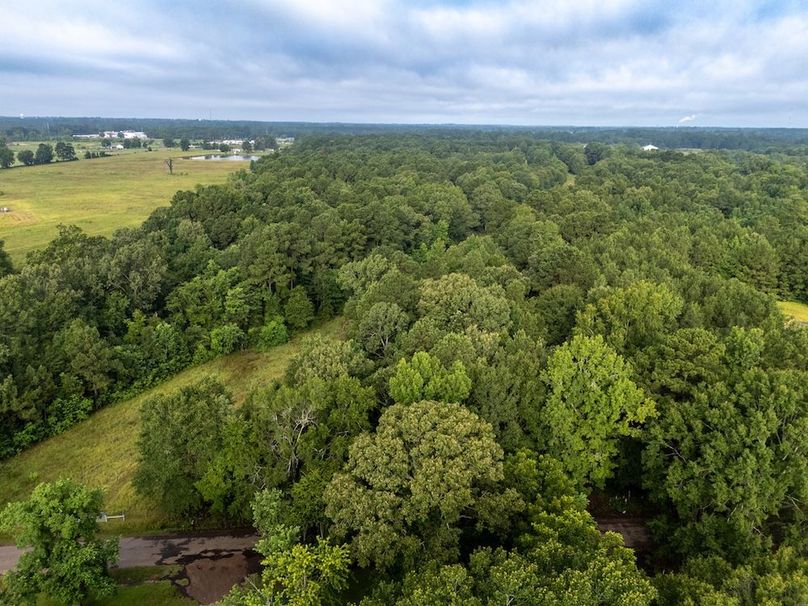 21 Panola Co. 40ac - Rouse-01