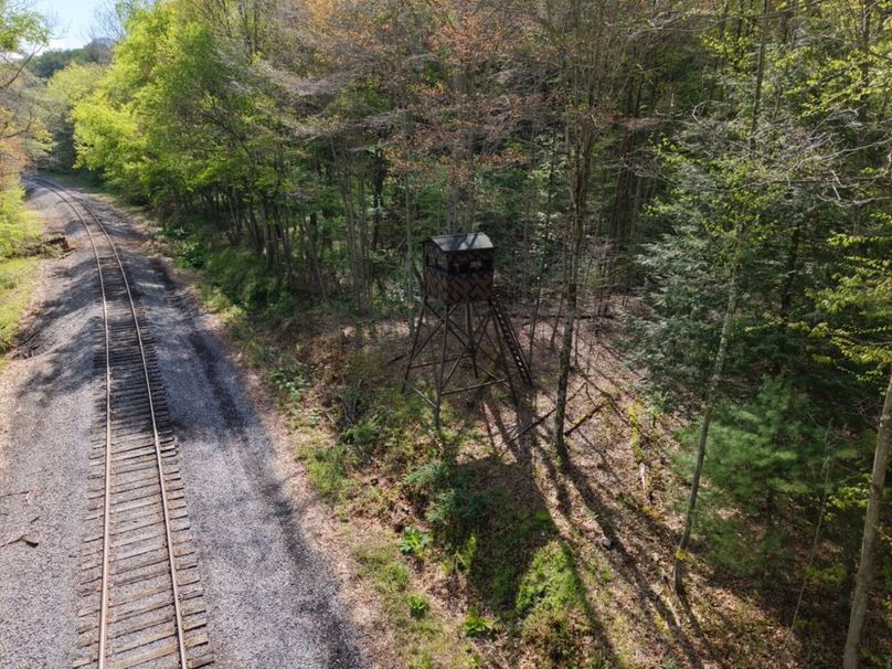 dji_fly_20260515_084634_0031_1778855444784_photo