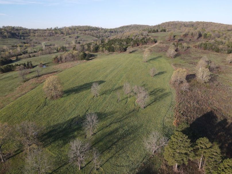 DJI_0416