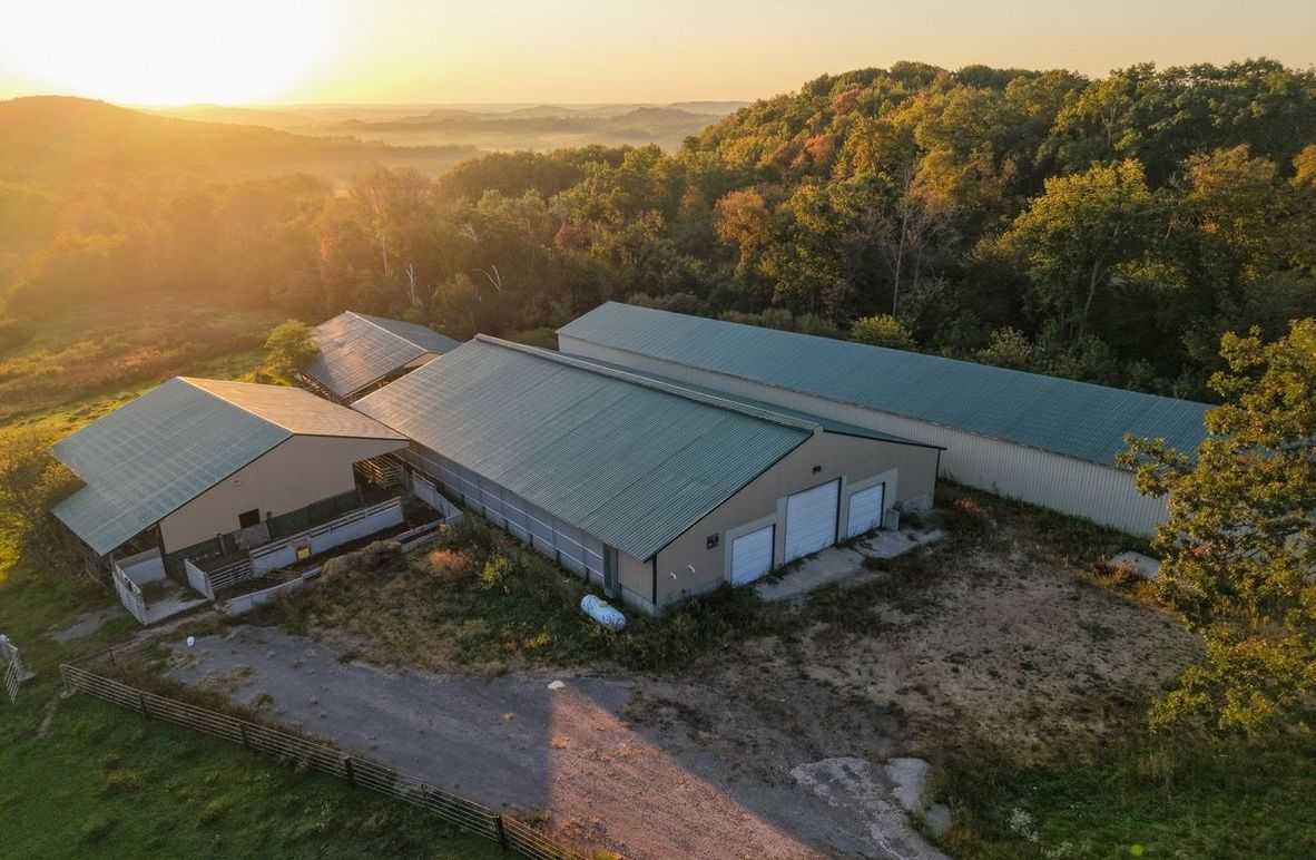 Monroe 5.31-04 Large