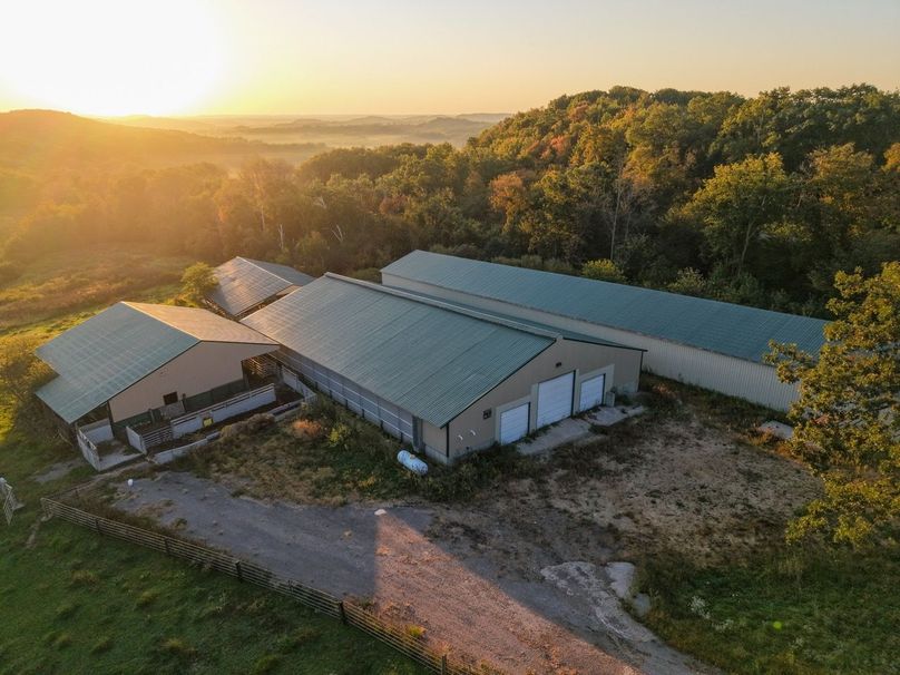 Monroe 5.31-04 Large