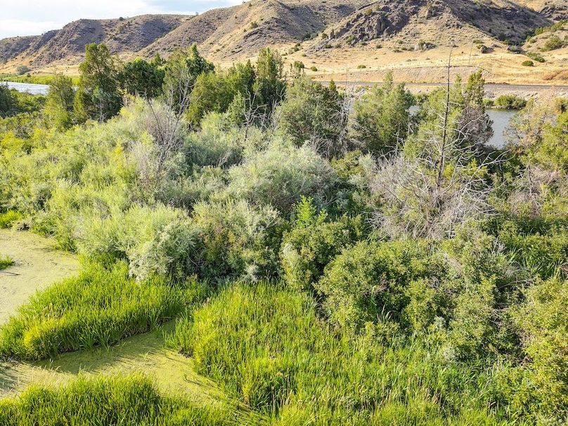 20250728-DJI_20250728183311_0027_D