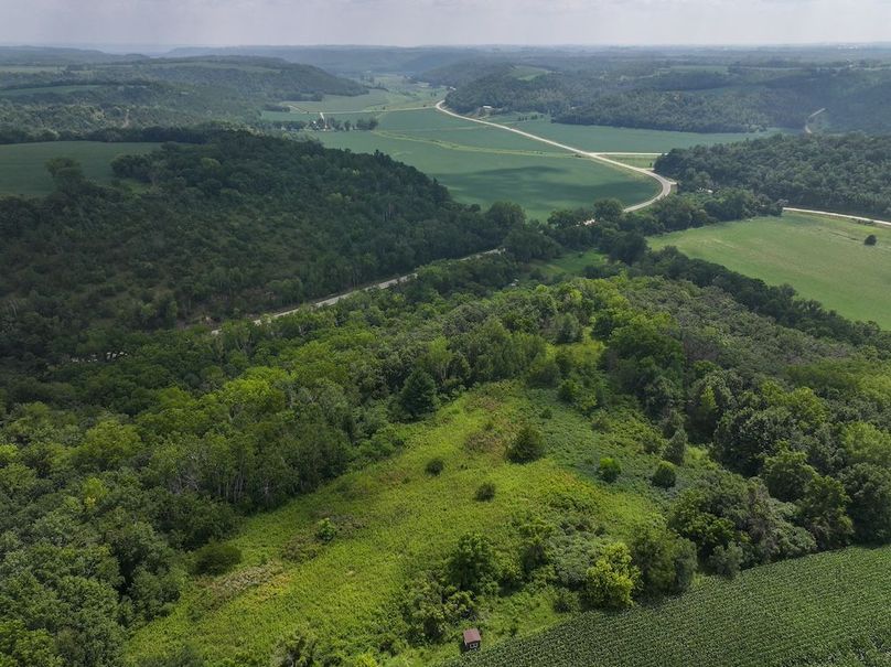 Goodhue 78.81 New -11