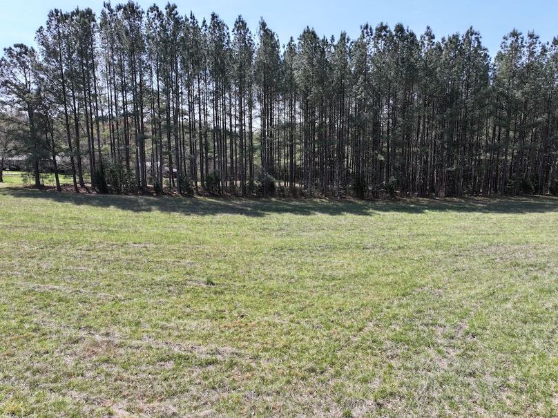 dji_fly_20260325_120018_0658_1774539277005_photo