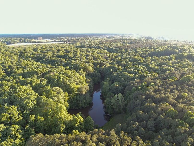 DJI_0556