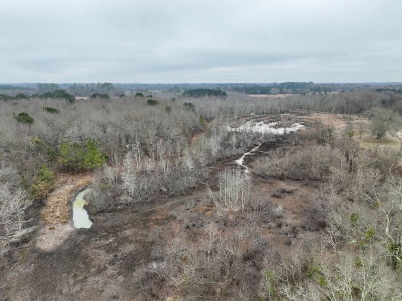 dji_fly_20260210_104246_253_1770738262781_photo