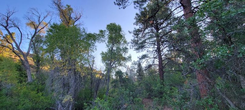 Copy of 20210827_074006