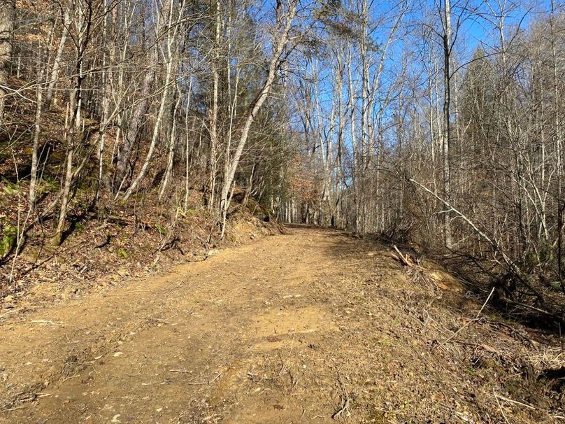 028 the dirt road providing access into the property