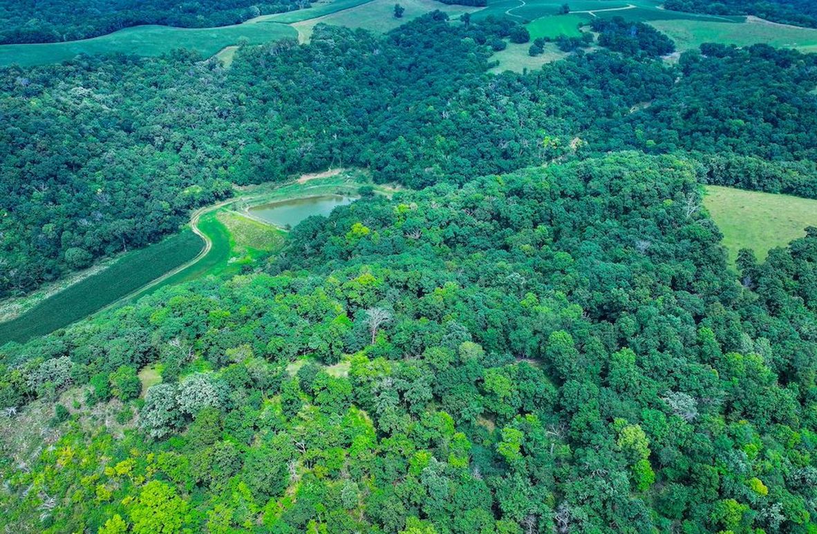 New Albin 8_8 edits-10