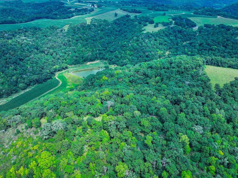 New Albin 8_8 edits-10