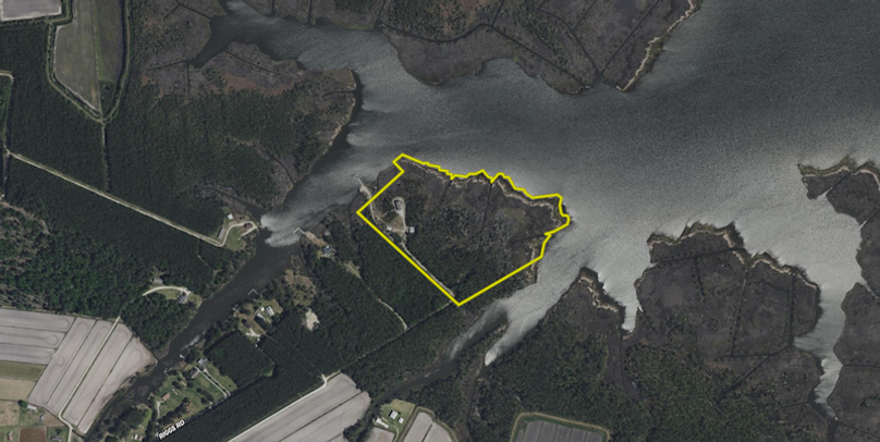 Screenshot 2026-03-25 111959