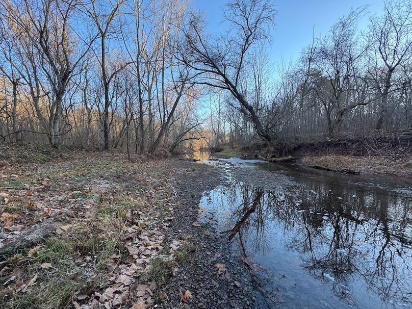 Pleasants_Wood 169.97 AC Cokeley-18