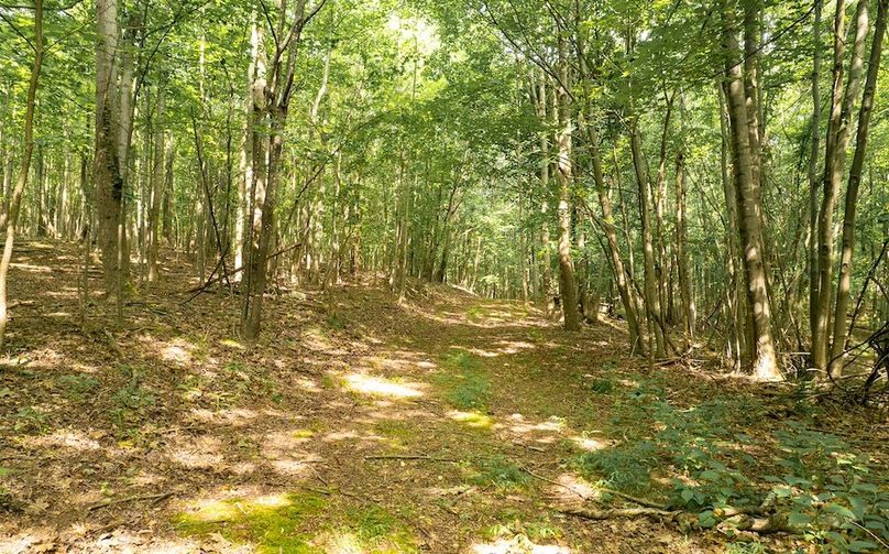 Miller-Hawkins pic 17A