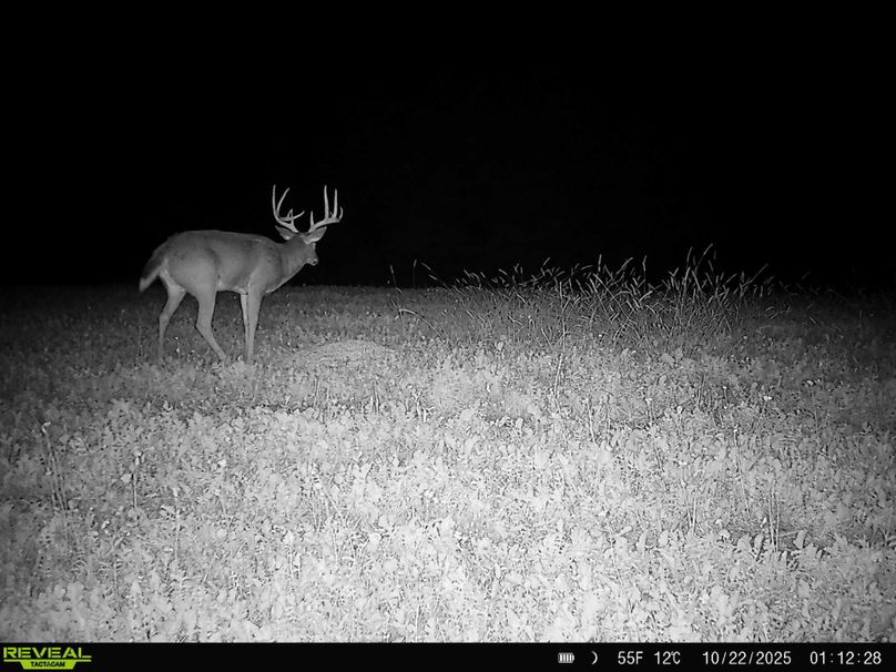 864049058814197-100-4-10222025173920-HD-SYFW9835