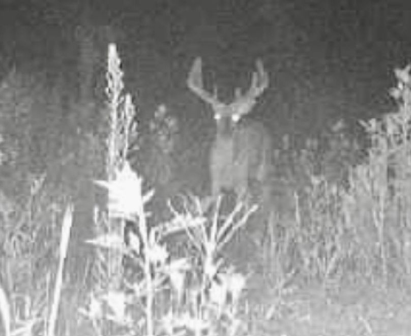 Screenshot_20221201-202558_Gallery